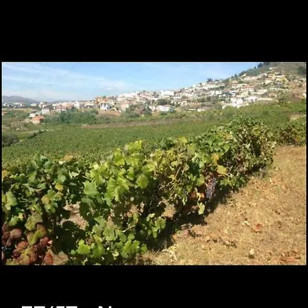 Casa Lauralino Vallee Du Douro بيت للعطل