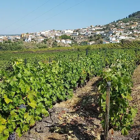 Casa Lauralino Vallee Du Douro بيت للعطل *